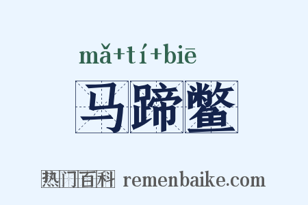 马蹄鳖是什么意思的图片